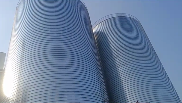 青松路街道2座混凝土高架卷板仓